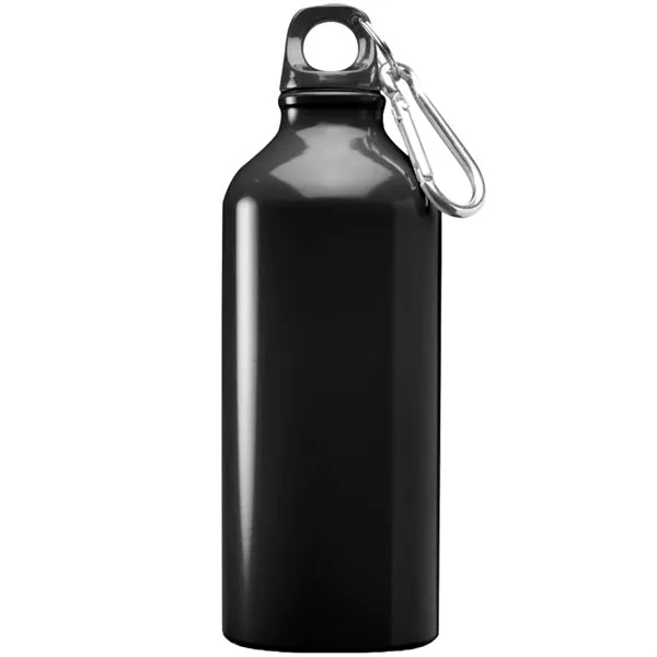Aluminum Sports Water Bottle - Carabiner, 20 oz.