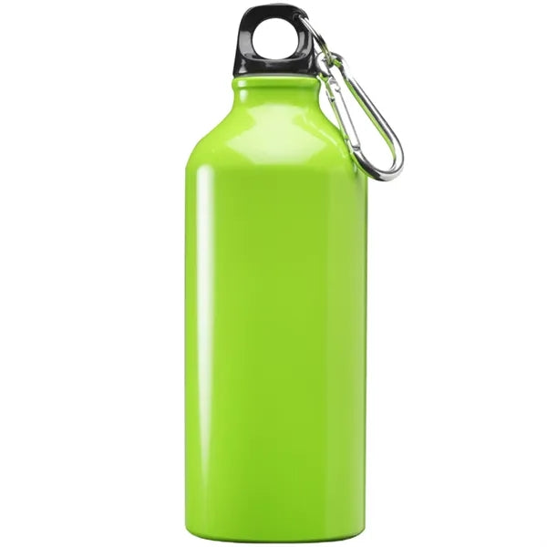 Aluminum Sports Water Bottle - Carabiner, 20 oz.