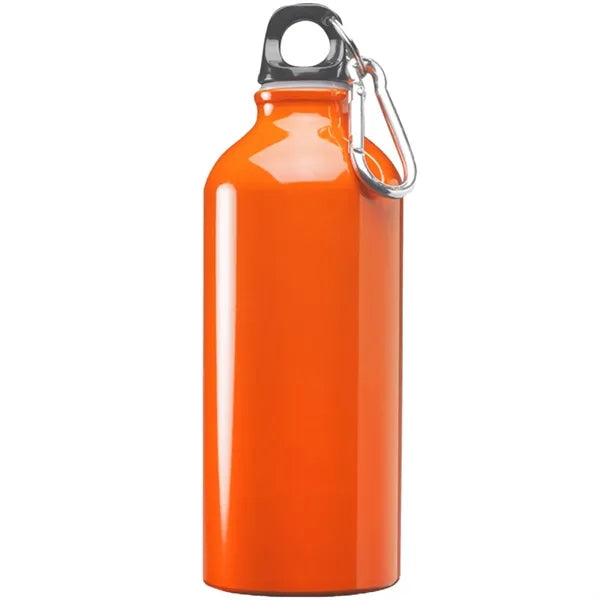 Aluminum Sports Water Bottle - Carabiner, 20 oz.