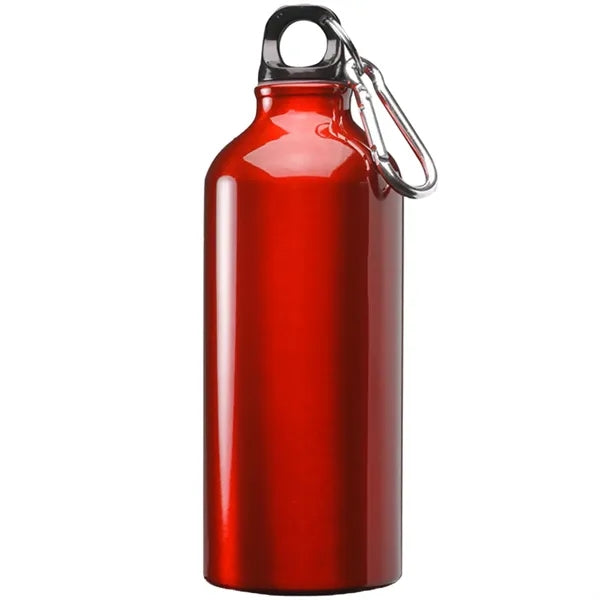 Aluminum Sports Water Bottle - Carabiner, 20 oz.