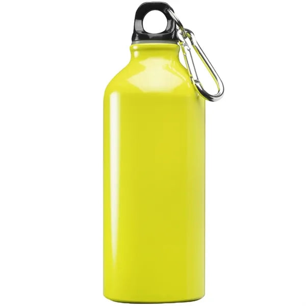 Aluminum Sports Water Bottle - Carabiner, 20 oz.