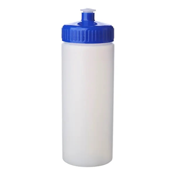 20 oz. Frosted Plastic Water Bottles