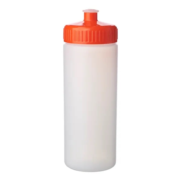 20 oz. Frosted Plastic Water Bottles