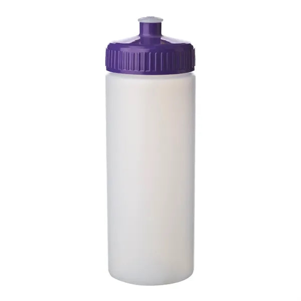 20 oz. Frosted Plastic Water Bottles