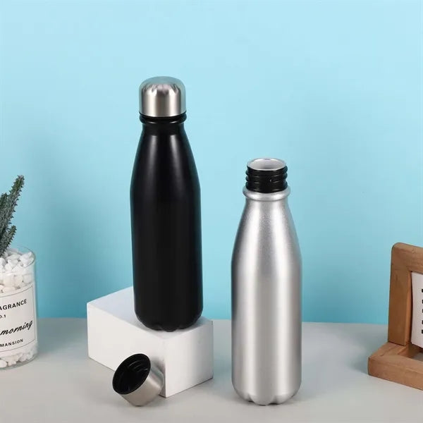 17 oz Aluminum Water Bottles