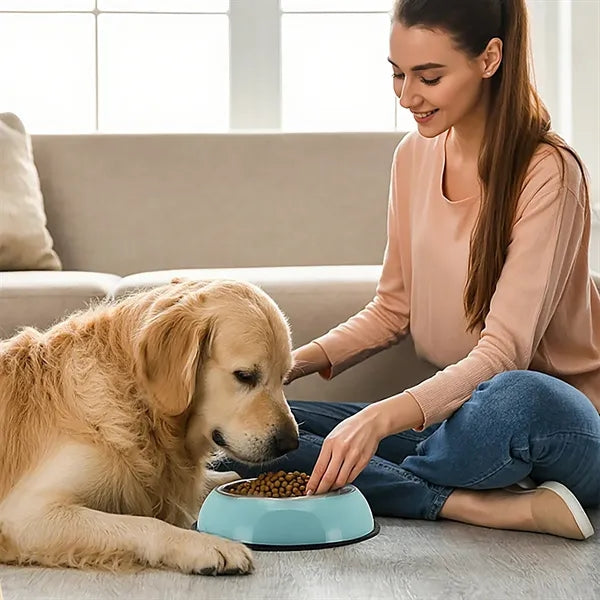 Fall Resistant Stainless Steel Pets Dog Food Bowl