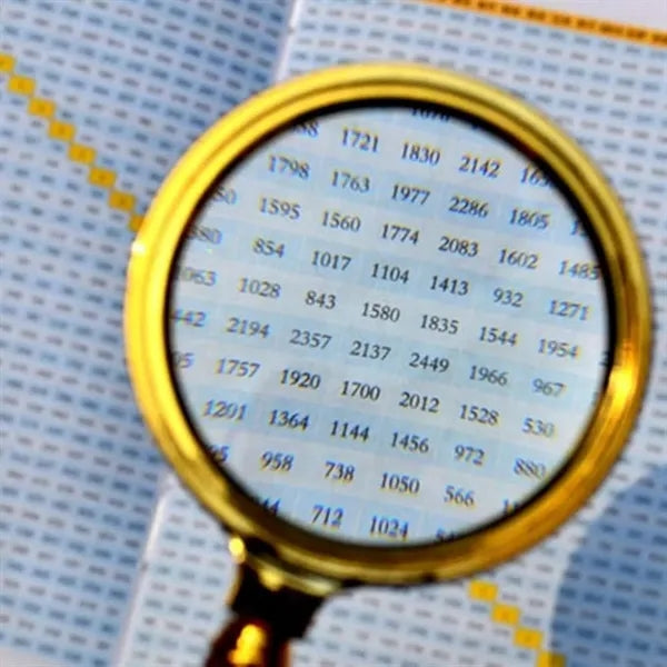 Handheld Magnifier