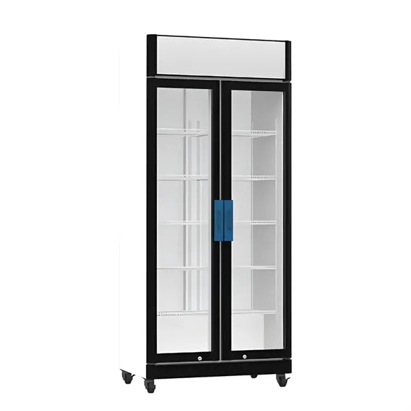 590L Double Glass Door Fridge