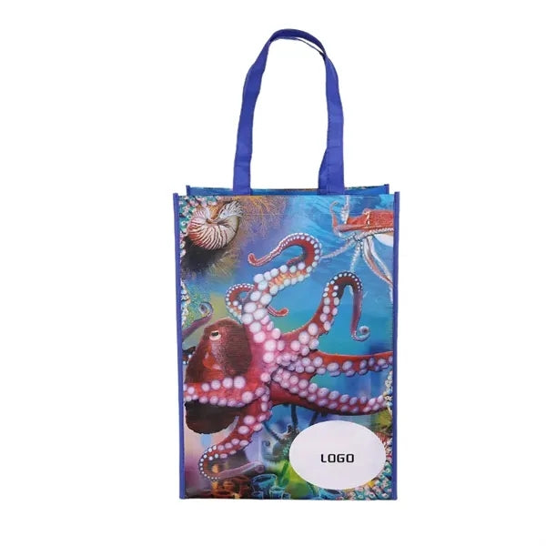 Portable RPET Laminate Bag