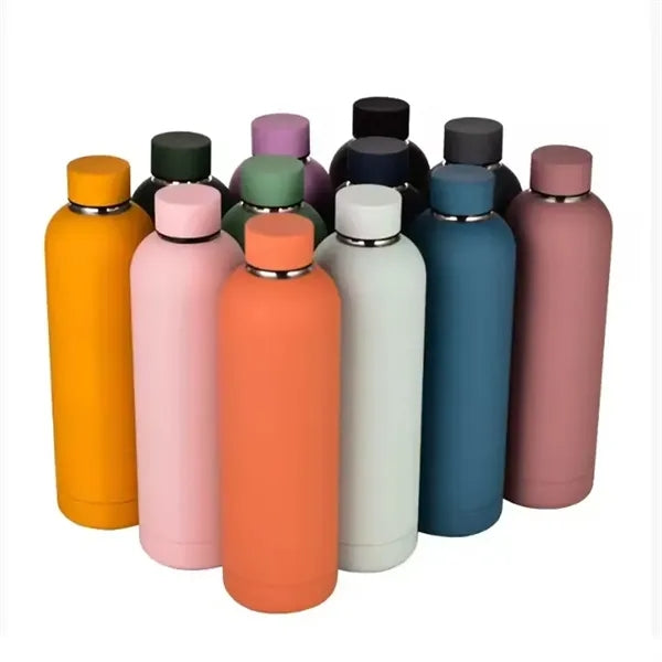 Insulated Stainless Steel Water Bottle