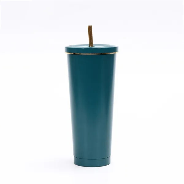 25oz Portable Stainless Steel Straw Cup