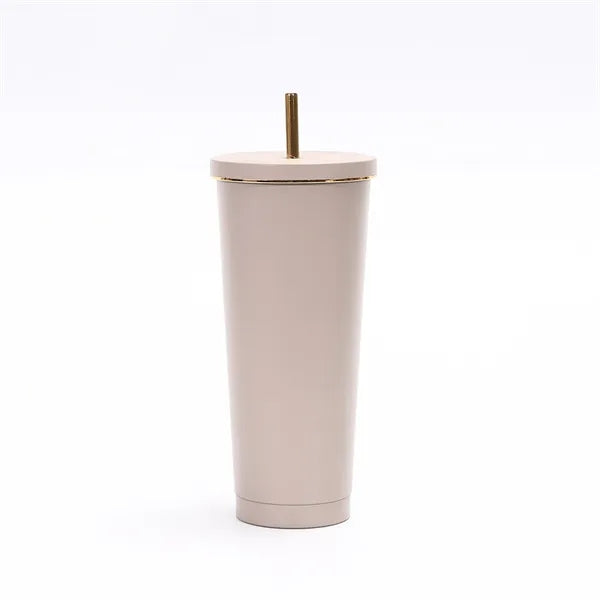 25oz Portable Stainless Steel Straw Cup