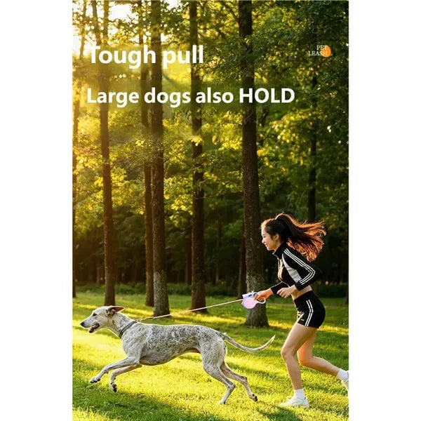 Retractable Dog Leash with Harness