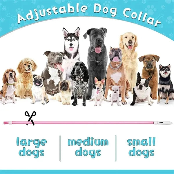 USB Rechargeable LED Dog Collar Night Safety Light