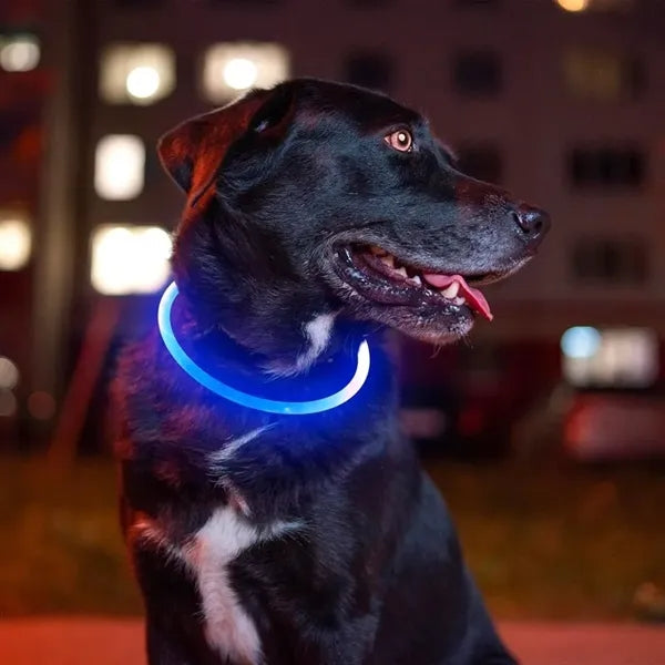 USB Rechargeable LED Dog Collar Night Safety Light