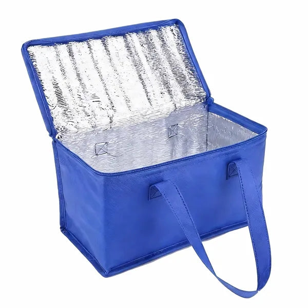 Non-Woven Insulated Picnic Cooler Bag with Zipper