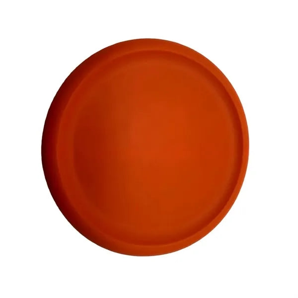 Fly ing Discs Bulk for Kids