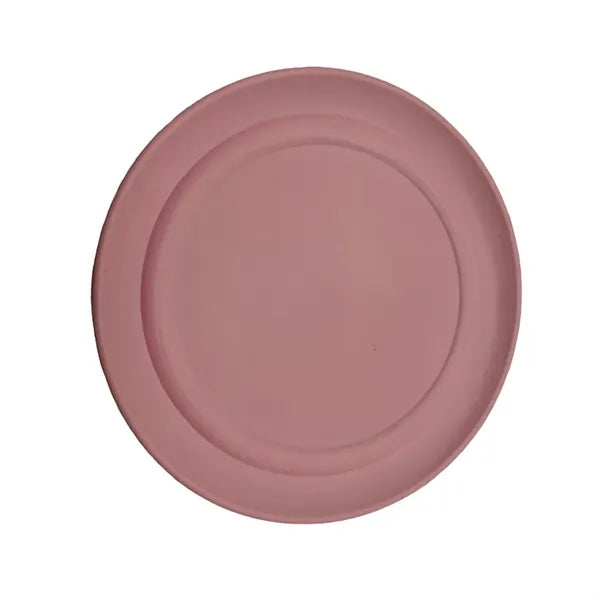 Fly ing Discs Bulk for Kids