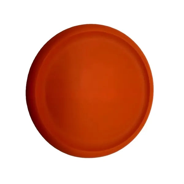 Fly ing Discs Bulk for Kids