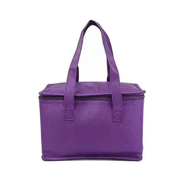 Non-Woven Insulated Food Delivery Bag