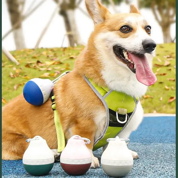 Portable Leak Proof Pet Drinking Bottle for Dog Cat Outdoor
