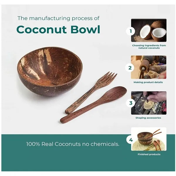 Polished Coconut Bowl Set