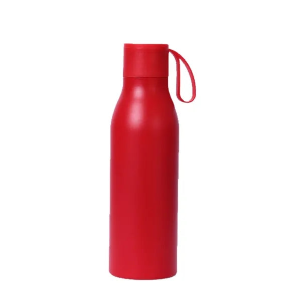 17oz Vacuum Insulated Stainless Steel Water Bottle with Loop
