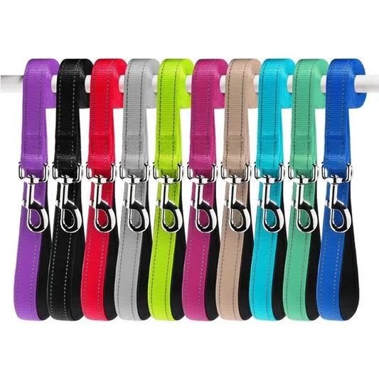 6 FT Pet Dog Leash w/ Metal Carabiner
