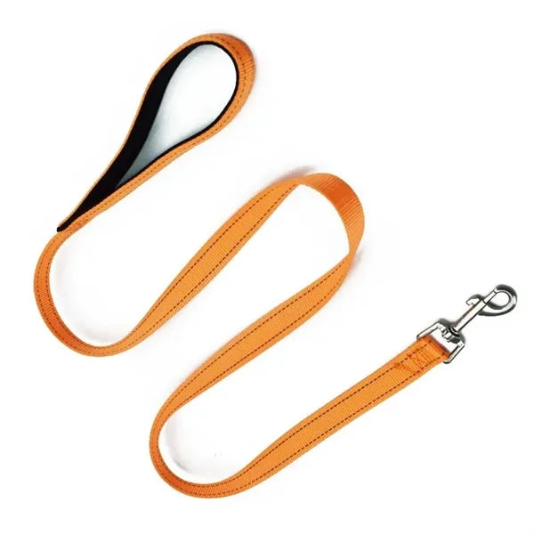 6 FT Pet Dog Leash w/ Metal Carabiner