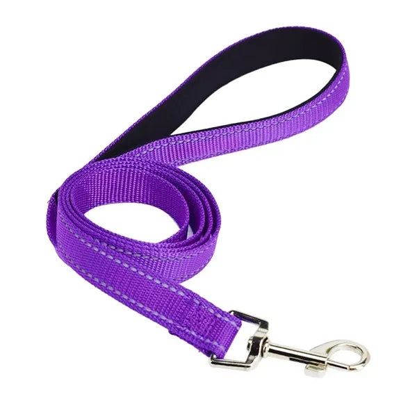 6 FT Pet Dog Leash w/ Metal Carabiner