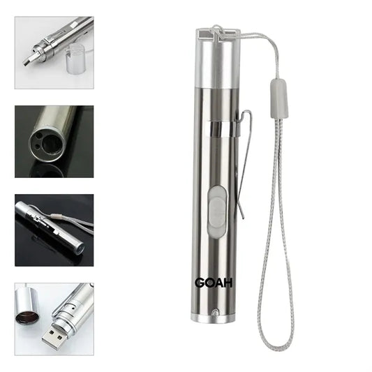 Multifunctional Mini Portable Flashlight Pet Interactive Toy