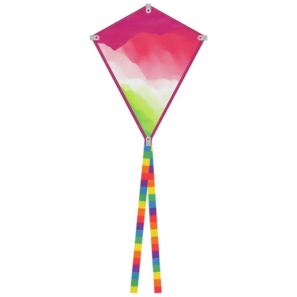 Full Color Kite Toy
