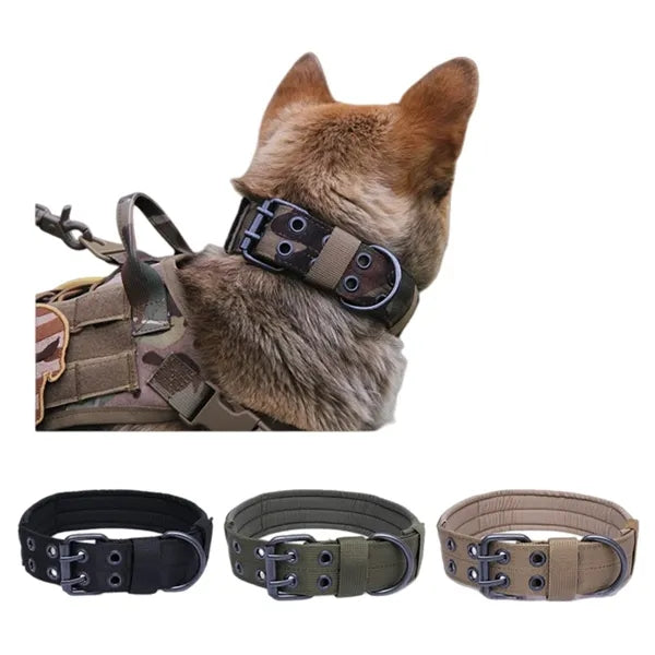 Outdoor Pet Nylon Collar