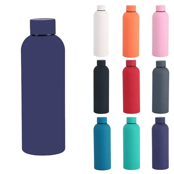 Stainless Steel Water Bottle