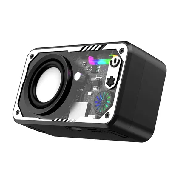 Bluetooth Speaker