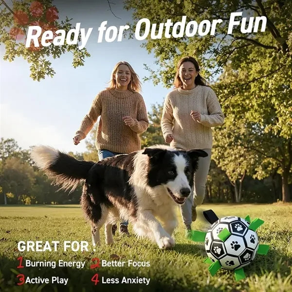 World Cup Dog Toy Soccer Ball with Strap Durable