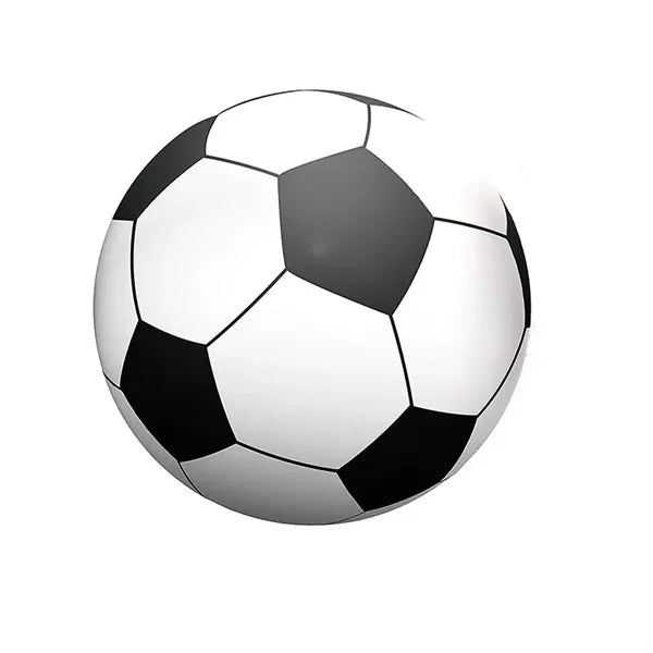 Large PVC Inflatable Beach Ball