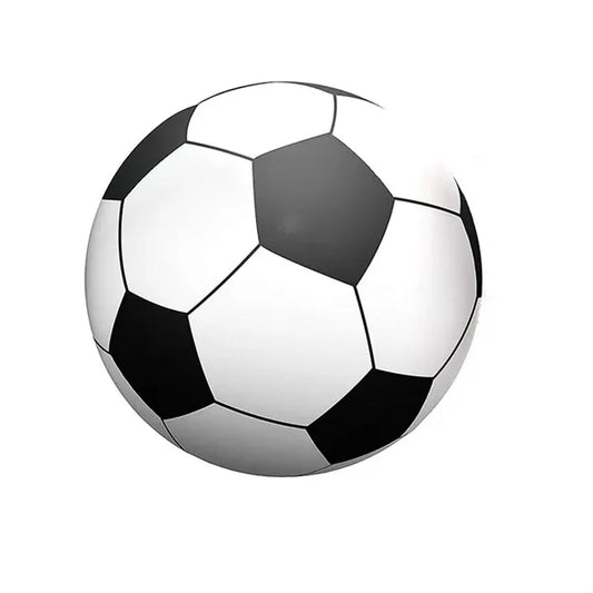Large PVC Inflatable Beach Ball