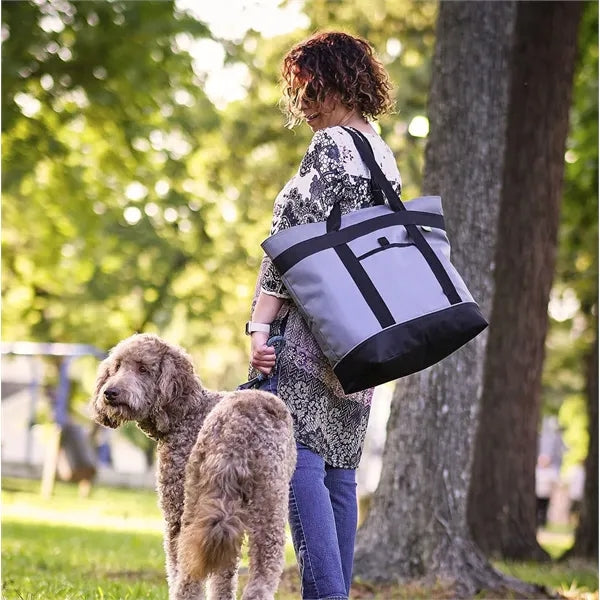 Travel Insulated Bag or Beach Cooler