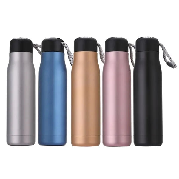18oz Stainless Steel Insulated Water Bottle w/ Screw Lid