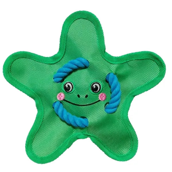 Squeaky Throw and Fetch Toy for Dogs
