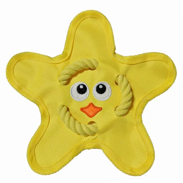 Squeaky Throw and Fetch Toy for Dogs