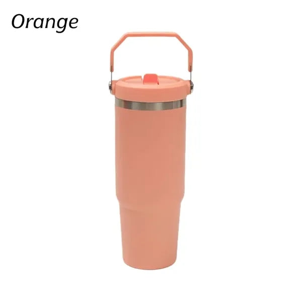 30oz Insulated Water Bottle with Carry Handle