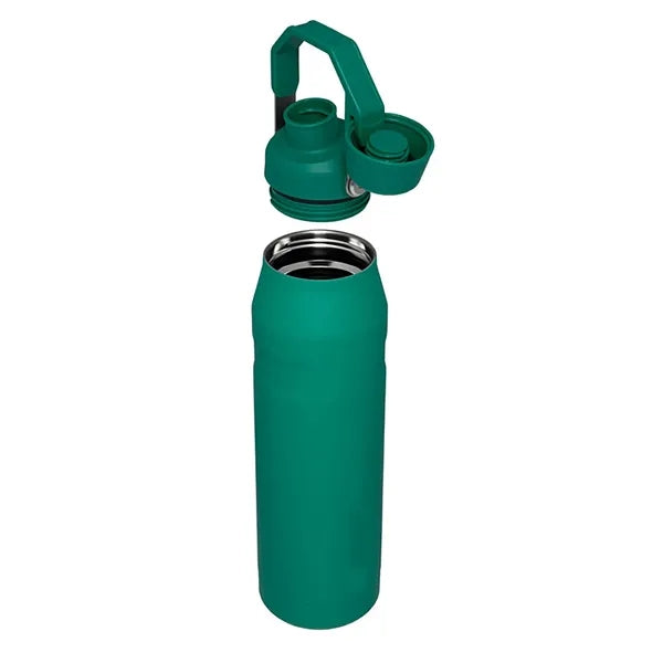 18oz Stainless Steel Spout Bottle