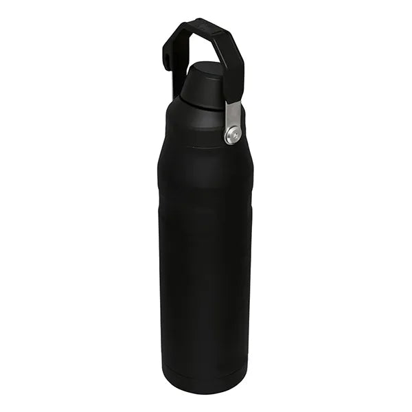 18oz Stainless Steel Spout Bottle