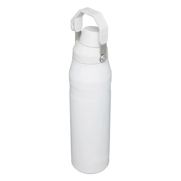 18oz Stainless Steel Spout Bottle