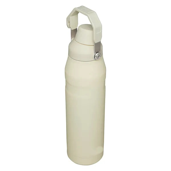 18oz Stainless Steel Spout Bottle