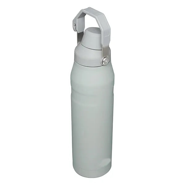 18oz Stainless Steel Spout Bottle