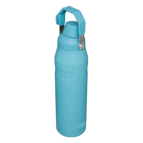 18oz Stainless Steel Spout Bottle
