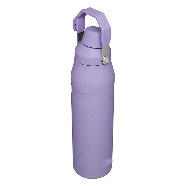 18oz Stainless Steel Spout Bottle